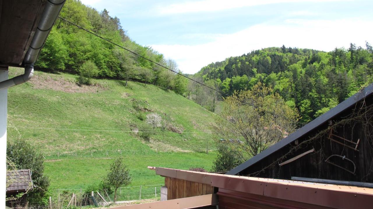 Gîte Le Creux Chêne Rombach-le-Franc Exterior foto