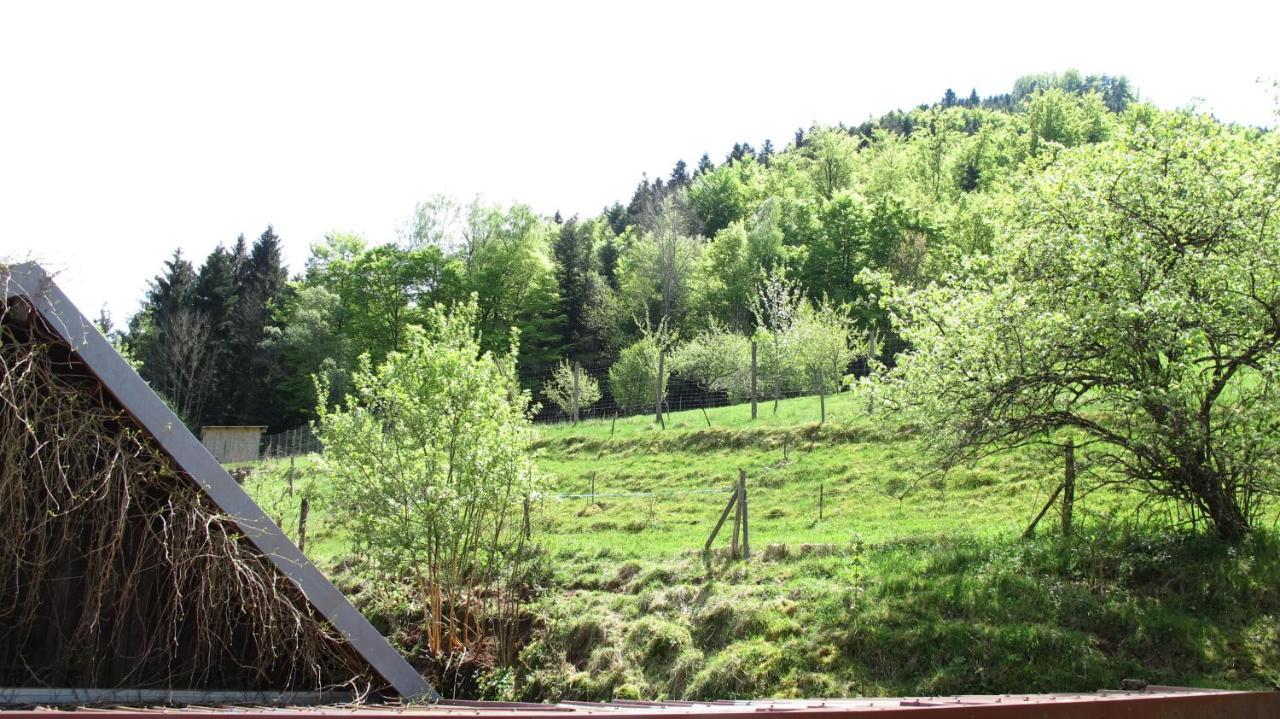 Gîte Le Creux Chêne Rombach-le-Franc Exterior foto